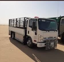 ارقام دينات نقل العفش داخل جدة