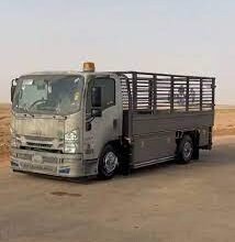 دينا تحميل العفش جدة