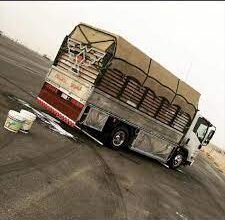 دينا لنقل العفش جدة