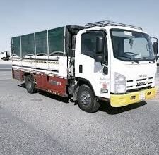 دينا نقل عفش جدة