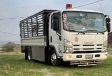 شركة ديانه لنقل العفش في جدة